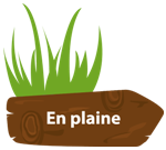 plaine.png